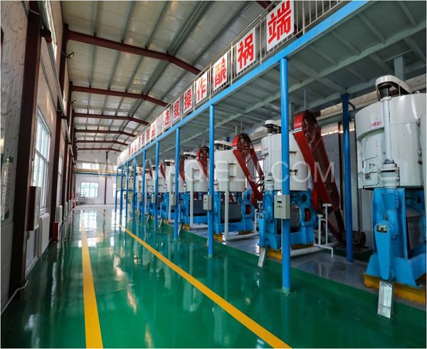 濃香菜籽油成套設備，企鵝糧油機械品質出眾(圖2)