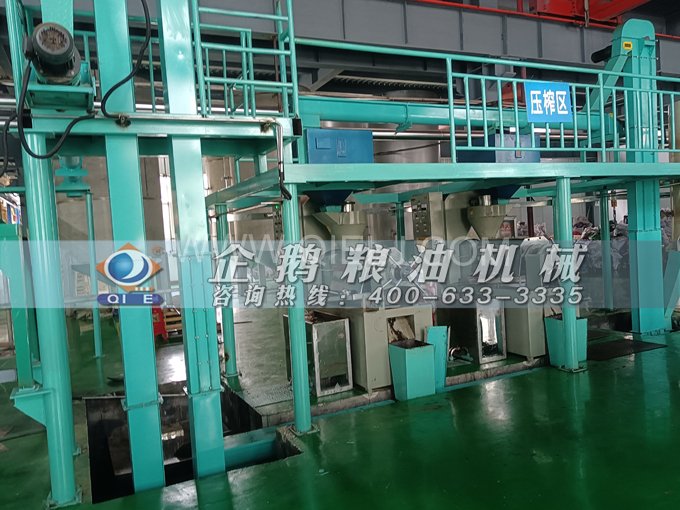 企鵝牌核桃油榨油設備，生產綠色健康油受大眾喜愛(圖4)