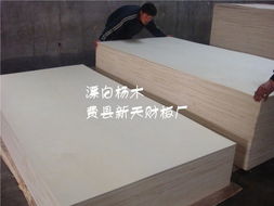 花紋楊木、膠合板、貼面板與櫥柜板 建筑裝飾材料的核心供應(yīng)商解析